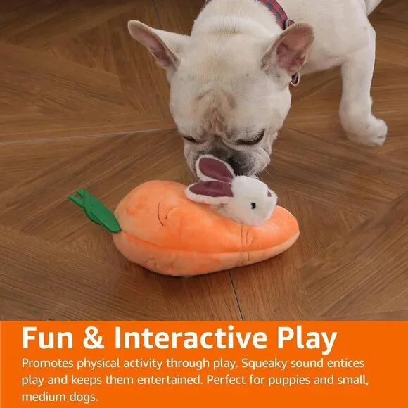 Hide and Seek Squeaky Dog Plush Toy, Rabbit and Carrot, Orange and White, 5 Pack - Picture 3 of 16